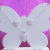 Conjunto Borboleta Prata 925