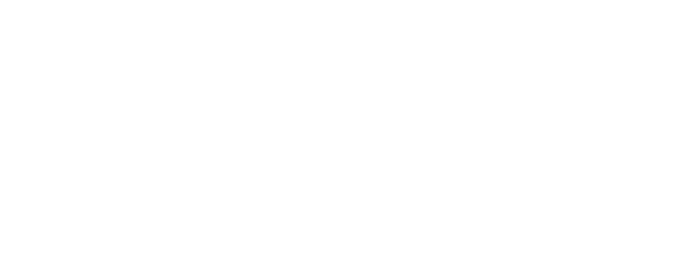 MGA import