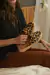ZUECO FLUIR LEOPARDO en internet