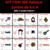 Kit 300 Aplique Junino E.V.A - comprar online