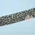 Fita Gorgurão Estampado Animal Print 04 40mm / 10 Metro - Alpet na internet
