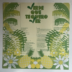 Imagem do PAULINHO TAPAJOS - VERDE QUERO TE VER - 1984