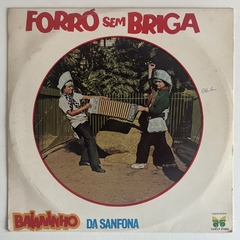 FORRO SEM BRIGA - BAIANINHO DA SANFONA - comprar online