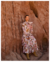 Vestido July - comprar online