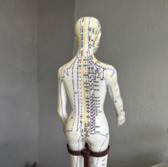 Modelo Anatômico com Pontos de Acupuntura - QIZHOU - loja online