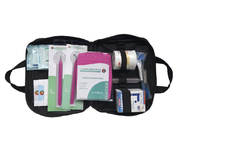 Kit Acupuntura Auricular Auriculoterapia C/ Bolsa - 15 Itens - comprar online