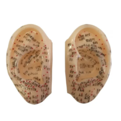 Modelo Anatômico De Orelha Para Auriculoterapia 8 Cm - Par