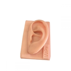 MODELO DE ORELHA DE SILICONE PARA ESTUDO na internet