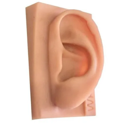 Mapa Auricular + Modelo De Orelha Para Estudo + 1 Brinde na internet