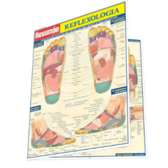 Mapa Resumão Reflexologia Podal e Palmar - comprar online