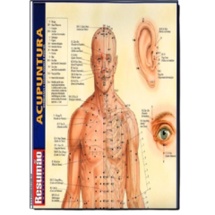 Combo - 8 Mapas para Aplicação da Técnica de Acupuntura - Acupuntura Fisio Shop