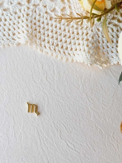 CHARMS SIGNOS COLAR CÁPSULA EDIÇÃO LIMITADA - loja online