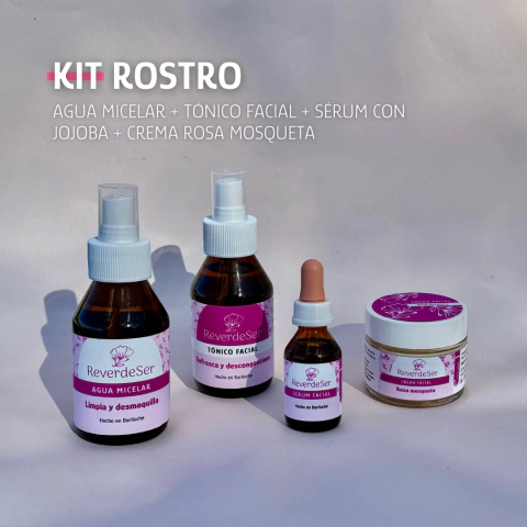 KIT ROSTRO - comprar online