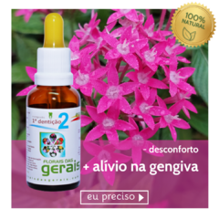 Composto Floral N°2 Primeira Dentição 30ml - revenda - comprar online