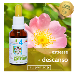 Composto Floral N°4 Anti-estresse 30ml - revenda - comprar online