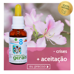 Composto Floral N°8 Superação 30ml - revenda - comprar online
