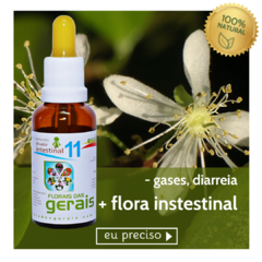 Composto Floral N°11 Ativador Intestinal 30ml - revenda - comprar online