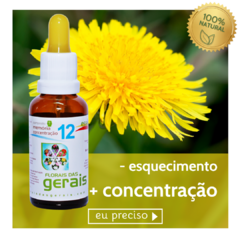 Composto Floral N°12 Memória / Concentração 30ml - revenda - comprar online