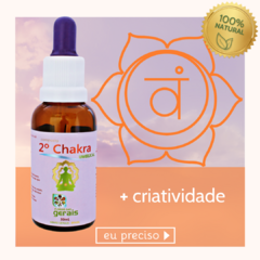 Composto Floral 2º Chakra Umbilical 30ml - revenda - comprar online