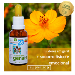 Composto Floral N°23 Emergencial / Rescue 30ml - revenda - comprar online