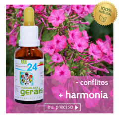 Composto Floral N°24 Relacionamento 30ml - revenda - comprar online