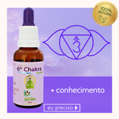 Composto Floral 6º Chakra Frontal 30ml - revenda - comprar online