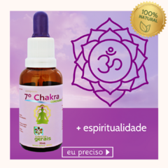 Composto Floral 7º Chakra Coronário 30ml - revenda - comprar online