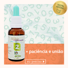 Composto Floral Ano Pessoal 2 Cooperação 30ml - revenda - comprar online