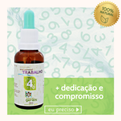 Composto Floral Ano Pessoal 4 Trabalho 30ml - revenda - comprar online
