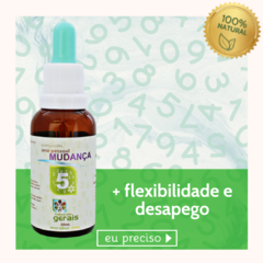 Composto Floral Ano Pessoal 5 Mudança 30ml - revenda - comprar online