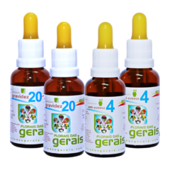 Kit Gestante (4 compostos)