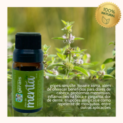 Óleo de Menta Puro e Natural 10ML - revenda - comprar online