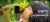 Carrusel Florais das Gerais | Florais Essenciais