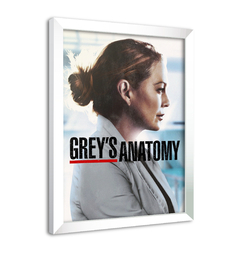 Quadro Poster Decorativo Grey's Anatomy na internet