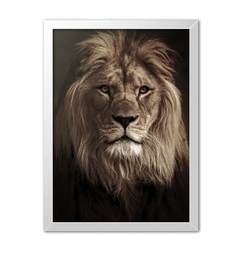 Quadro Poster Decorativo Leão - Imperium Posters