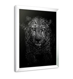 Quadro Poster Decorativo Onça Pintada Preto e Branco na internet