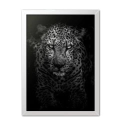 Quadro Poster Decorativo Onça Pintada Preto e Branco - Imperium Posters