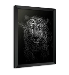 Quadro Poster Decorativo Onça Pintada Preto e Branco