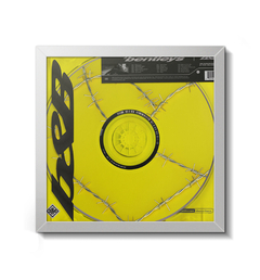Quadro Álbum Decorativo Post Malone - Beerbongs & Bentleys - comprar online