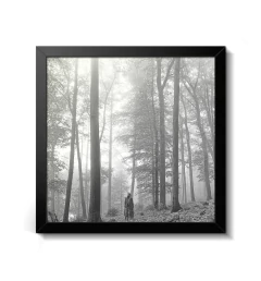 Quadro Álbum Decorativo Taylor Swift - Folklore