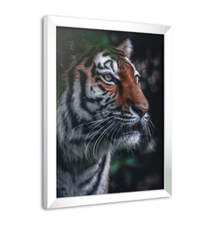 Quadro Poster Decorativo Tigre na internet