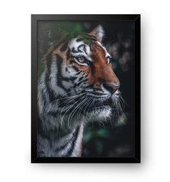 Quadro Poster Decorativo Tigre - comprar online