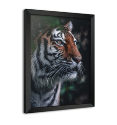 Quadro Poster Decorativo Tigre