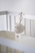 ARRULLO KITTEN - comprar online