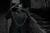 Universal Monsters - Ultimate Frankenstein (Black & White) - SHIFT geek store