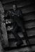 Universal Monsters - Ultimate Frankenstein (Black & White)