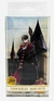 Figura Acrilica Harry Potter - comprar online