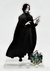 Figura Acrilica Severus Snape - Harry Potter