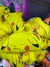 Almohadon Pikachu - Pokemon (durmiendo) - comprar online