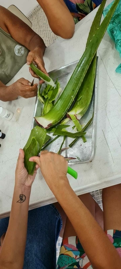 Imagem do Oficinas de Reciclagem de óleo usado para produção de produtos naturais de limpeza para casa